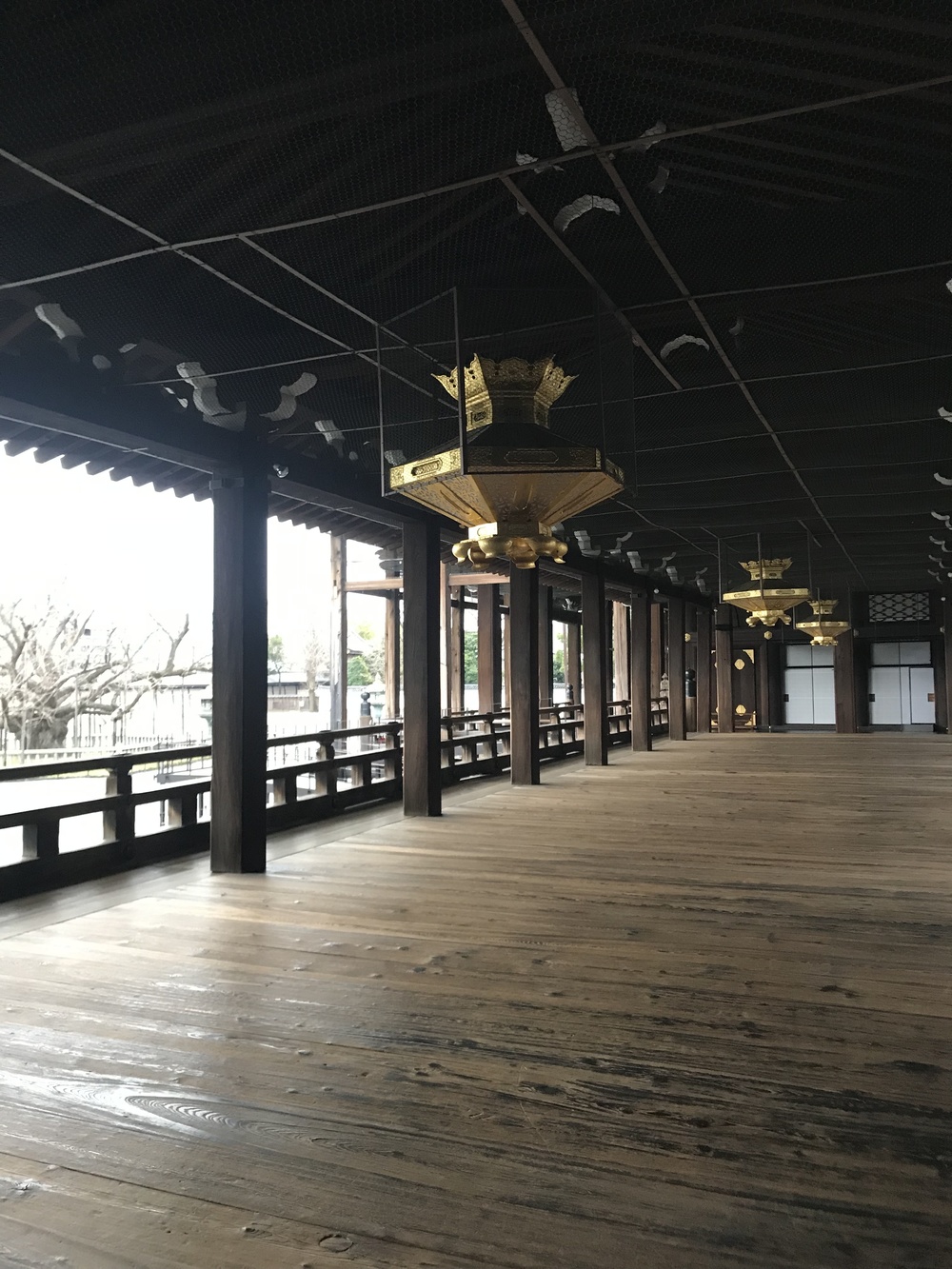 京都駅から東本願寺と西本願寺で朝のお勤めランの写真3