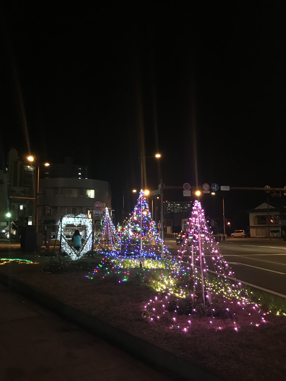 出張ラン 宮崎ナイトランクルージング 10kmの写真3