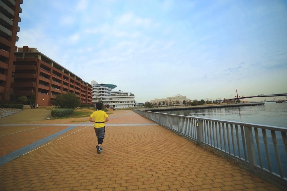 「HAT神戸」と「ポートタワー」往復コースの写真5