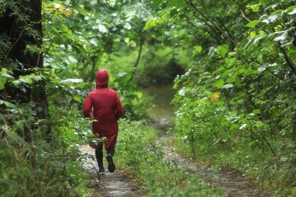 石垣島オーシャンビュートレイルラン＆ウォーク32kmコースの写真5