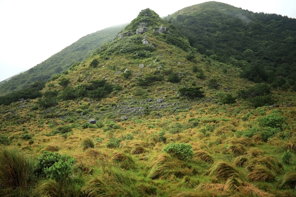 石垣島オーシャンビュートレイルラン＆ウォーク32kmコースの写真6