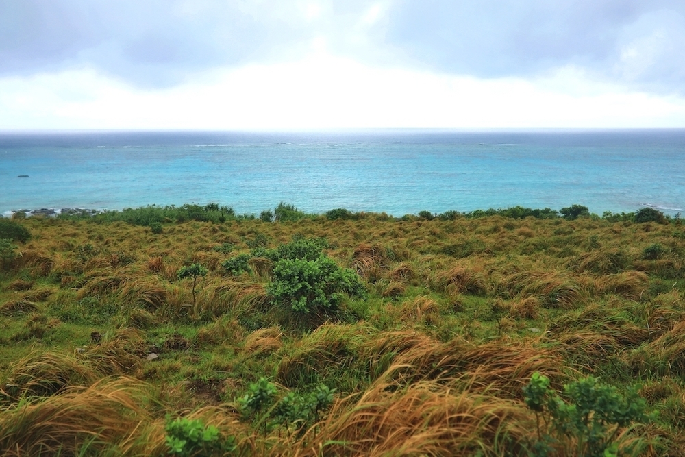 石垣島オーシャンビュートレイルラン＆ウォーク32kmコースの写真7