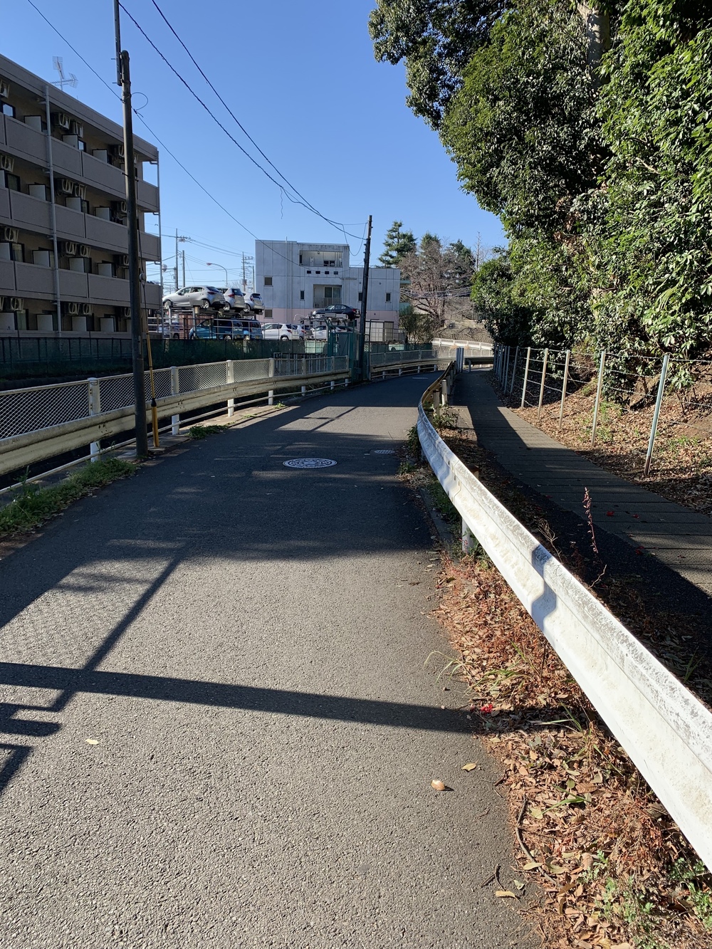 片平→柿生→鶴川→芝溝街道→真光寺→片平の写真3