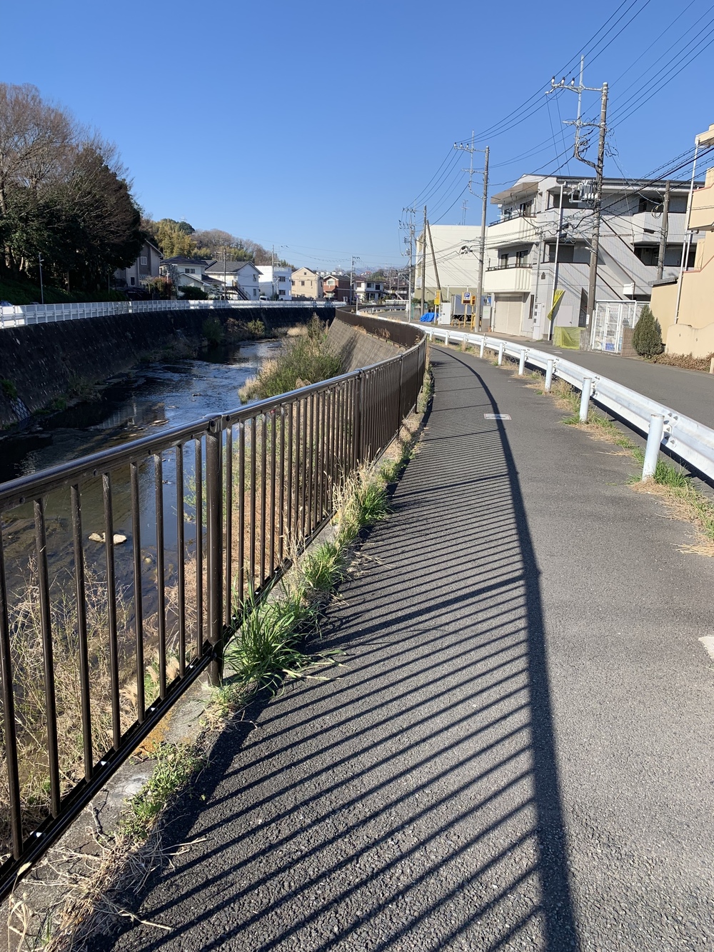 片平→柿生→鶴川→芝溝街道→真光寺→片平の写真5