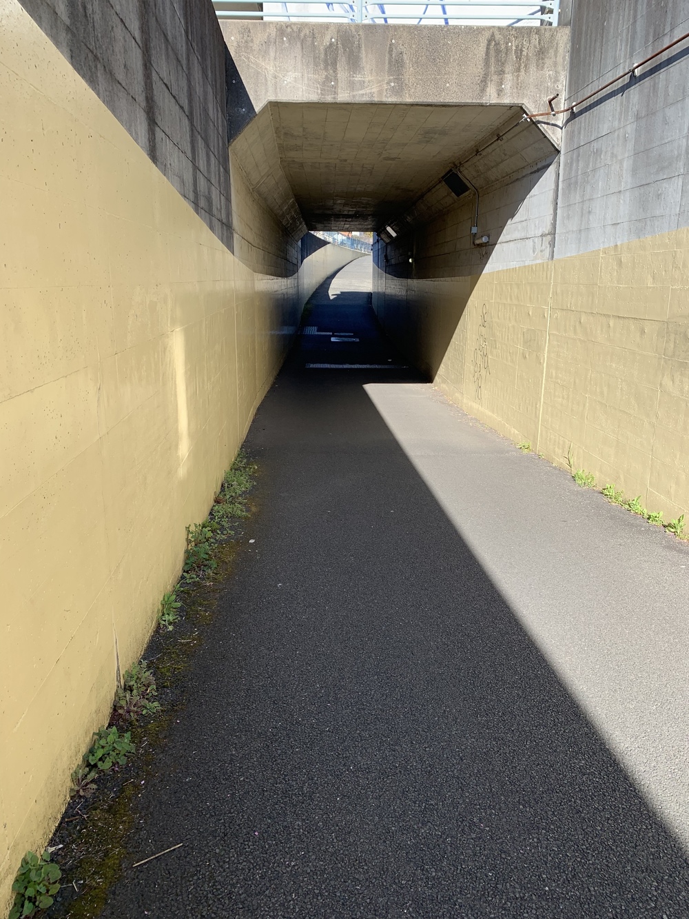 片平→柿生→鶴川→芝溝街道→真光寺→片平の写真6