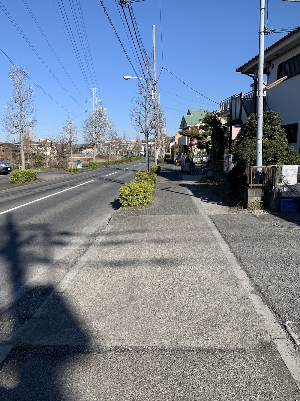 片平→柿生→鶴川→芝溝街道→真光寺→片平の写真8