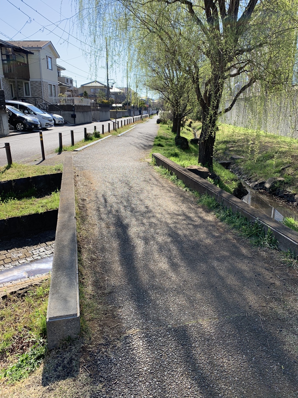 片平→柿生→鶴川→芝溝街道→真光寺→片平の写真14