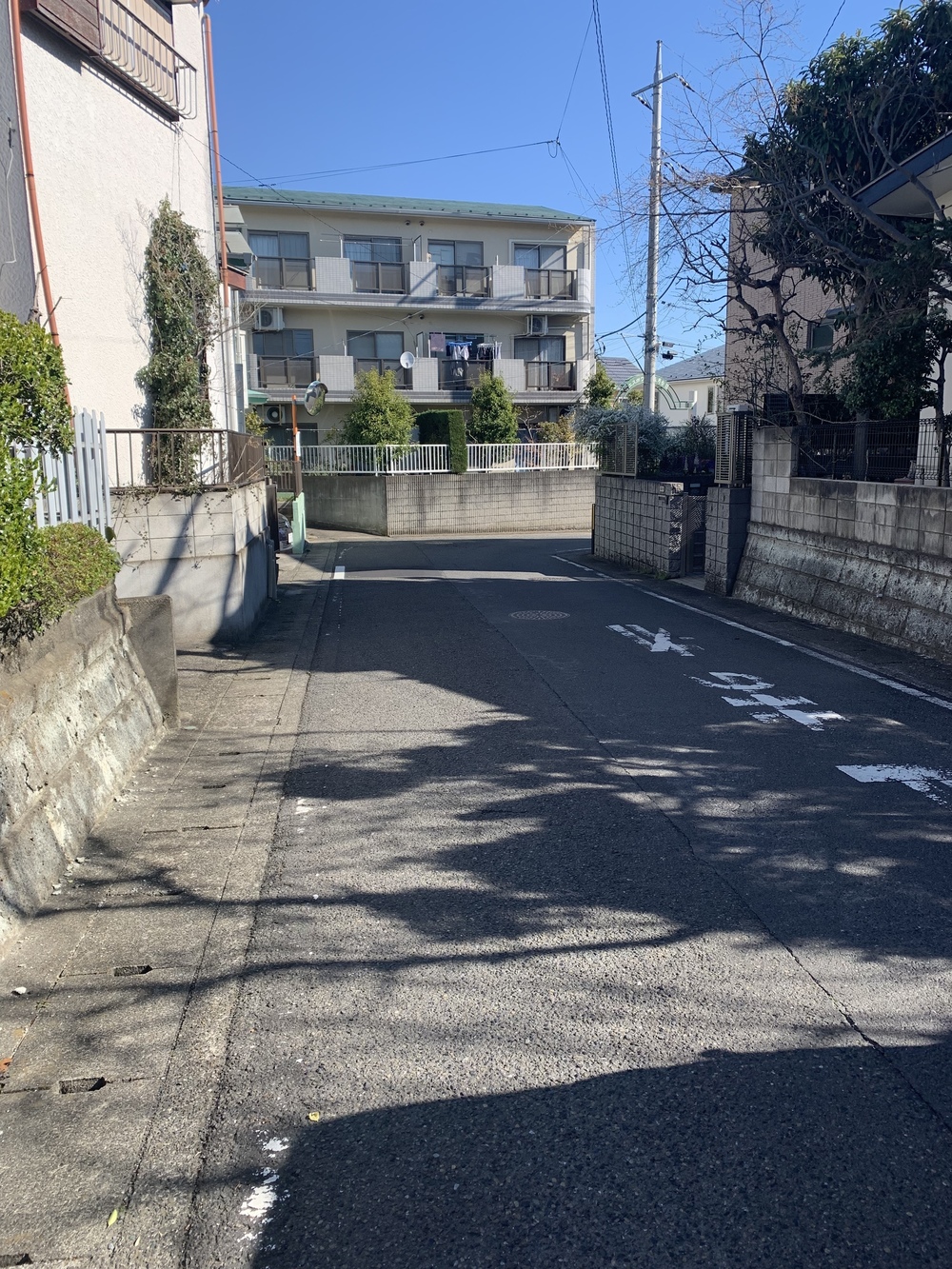 片平→柿生→鶴川→芝溝街道→真光寺→片平の写真18