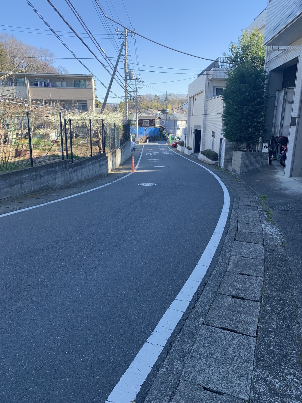 片平→柿生→鶴川→芝溝街道→真光寺→片平の写真19