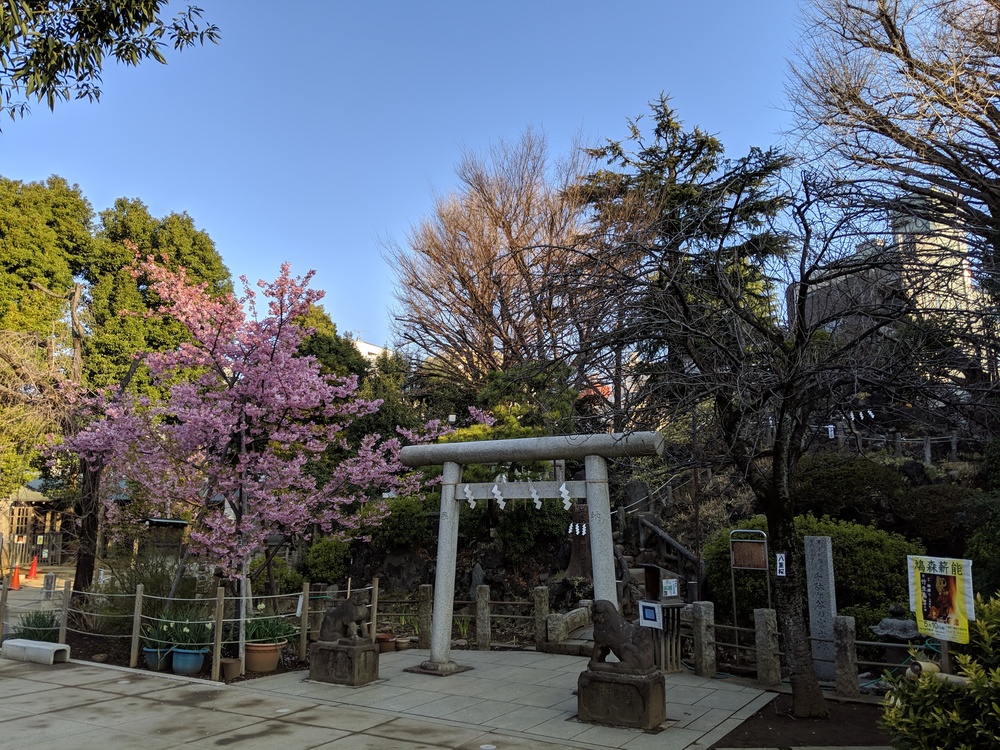代々木公園からダガヤサンドウエリアまで足を伸ばして楽しむランの写真5