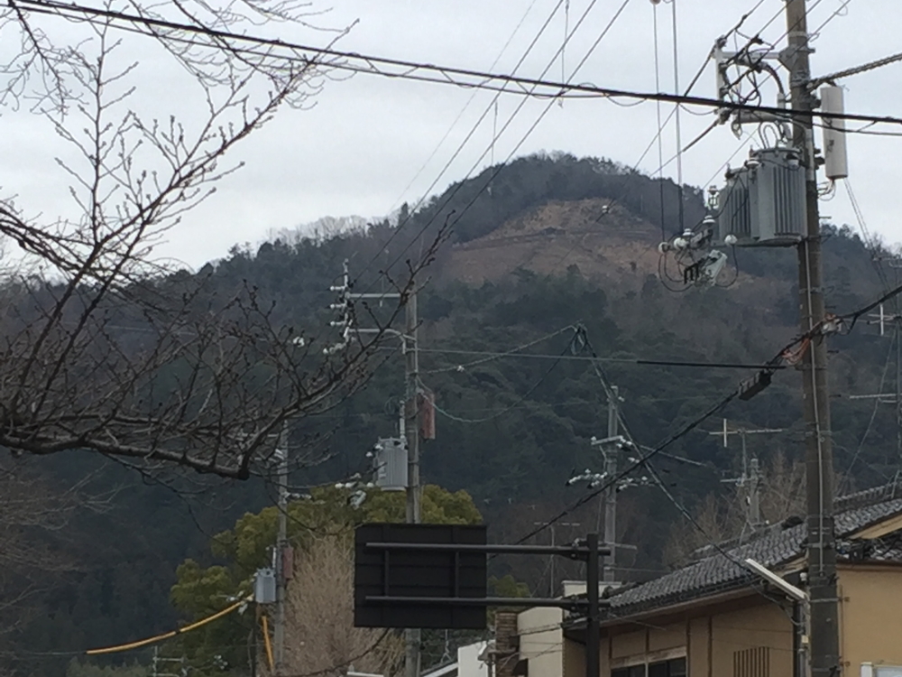京都市、神社仏閣ではない名勝（？）巡りランの写真5