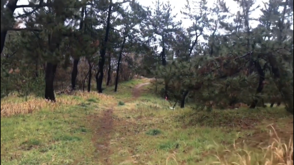 町なのに誰かに会う気配のない非日常感■鳥取県湯梨浜町 泊地域の写真4