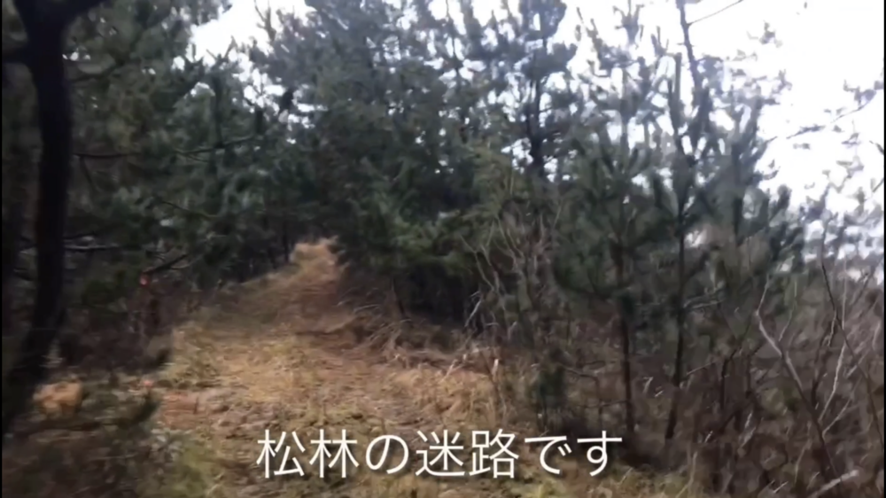 町なのに誰かに会う気配のない非日常感■鳥取県湯梨浜町 泊地域の写真6