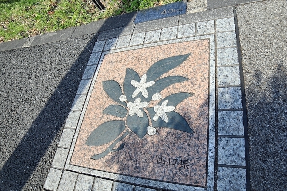 1周4995m・皇居ランコースの写真5