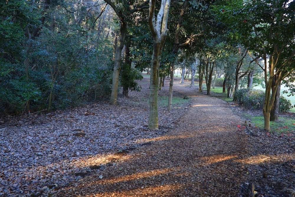 岩名運動公園のクロカンコースの写真3