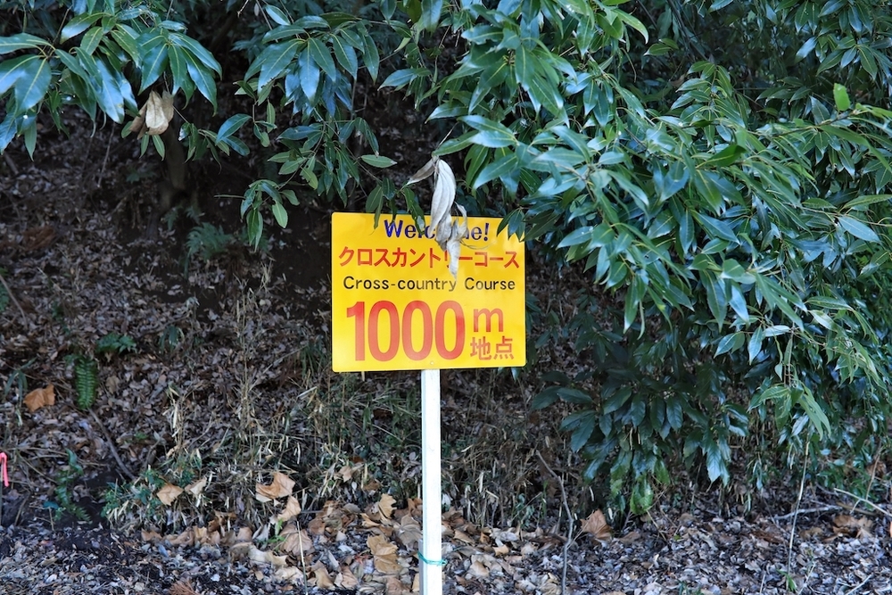 岩名運動公園のクロカンコースの写真4