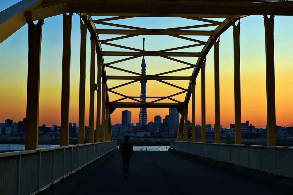 新小岩〜四つ木往復荒川コースの写真3