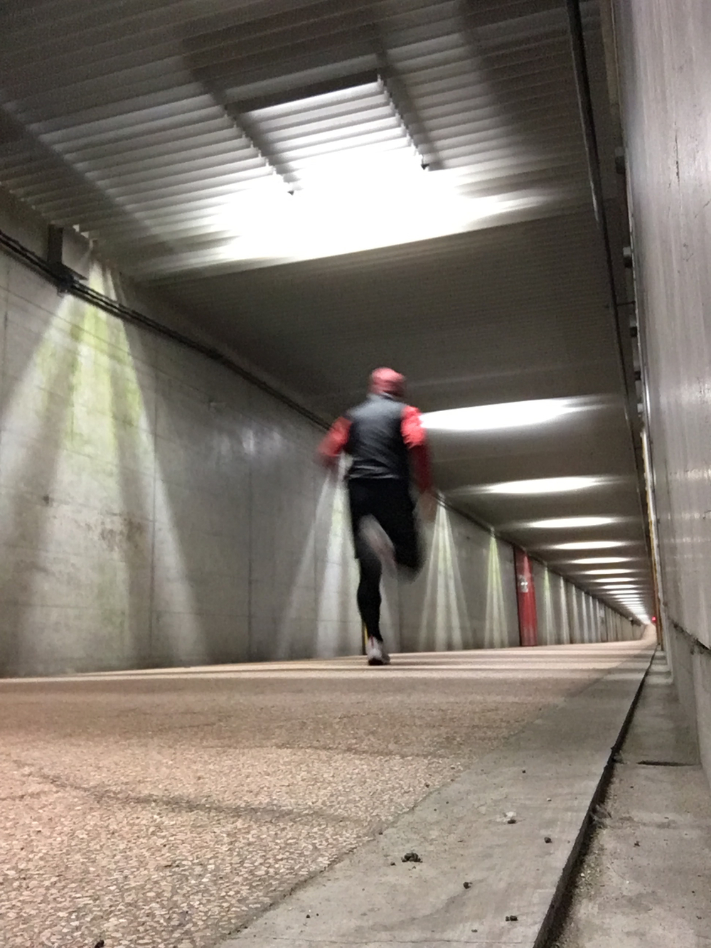 What’s NIIGATA 10kmの写真3