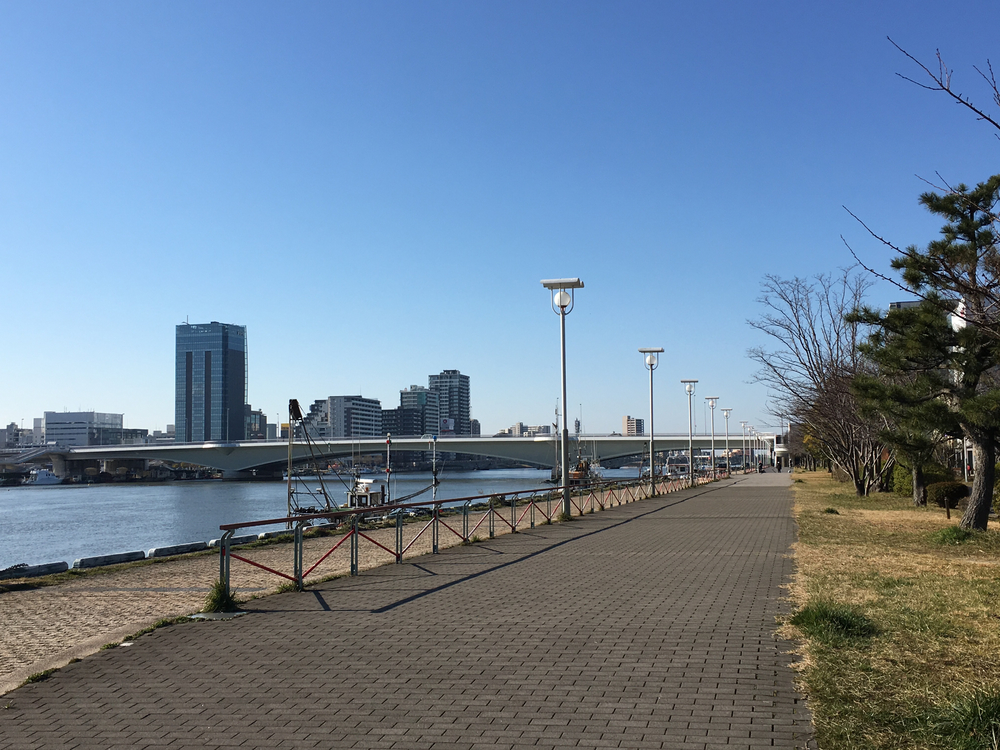 What’s NIIGATA 10kmの写真5