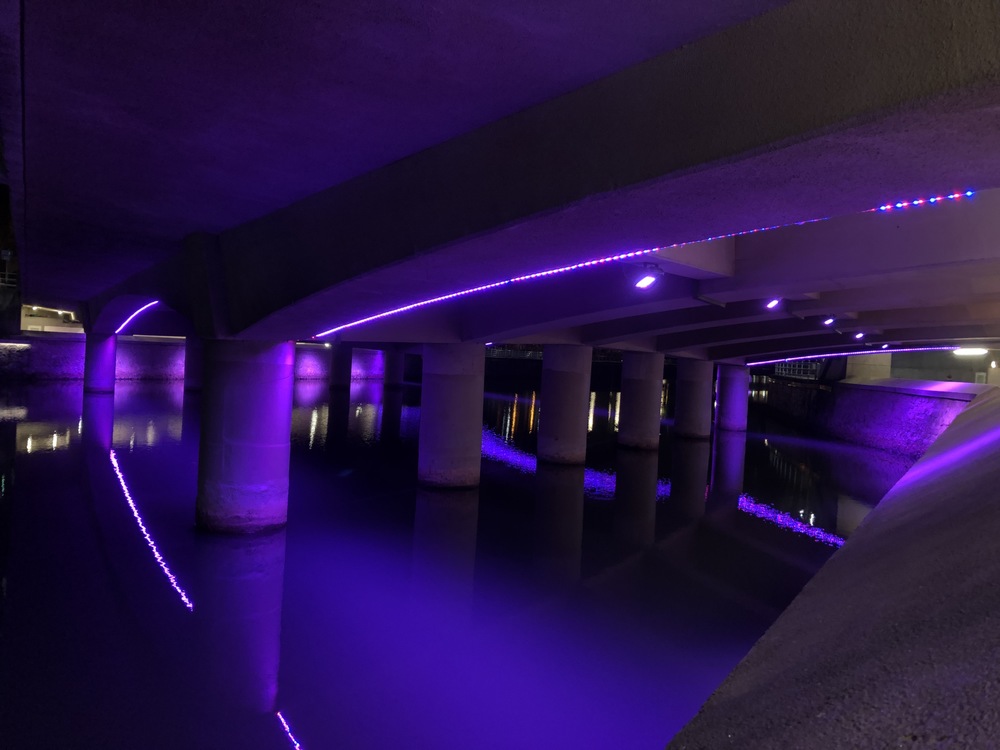 早朝シンガポールリバーラン（河口はどこかな？　笑）の写真10