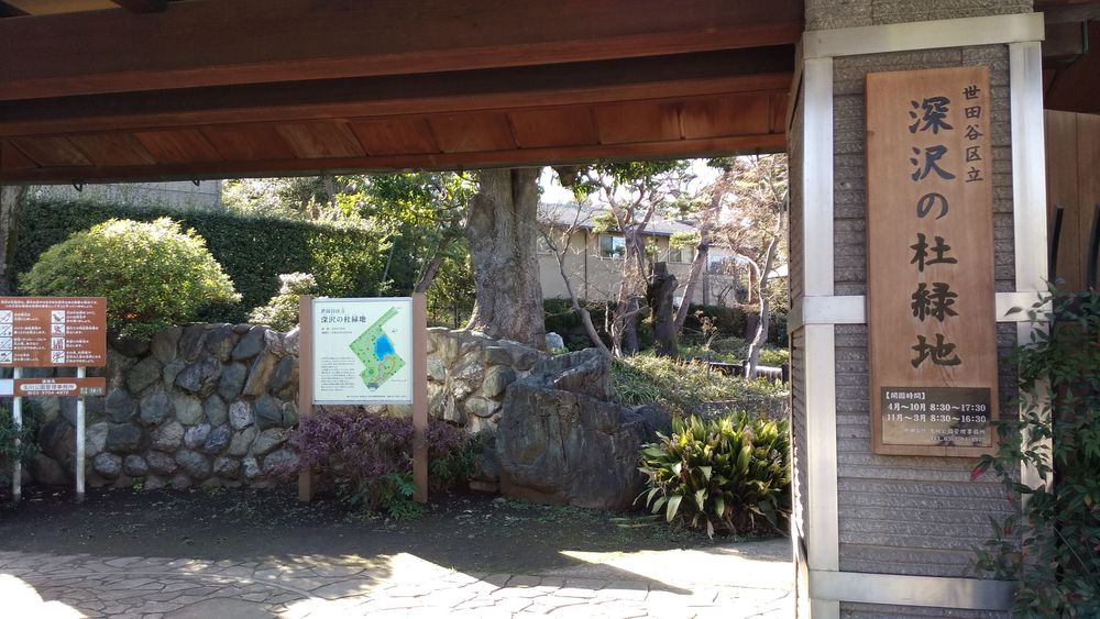 世田谷公園巡りハーフRunの写真3