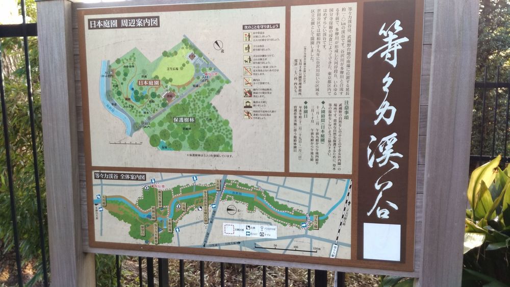 世田谷公園巡りハーフRunの写真5