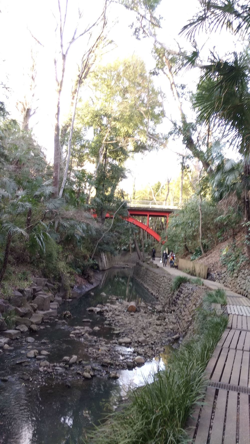 世田谷公園巡りハーフRunの写真6