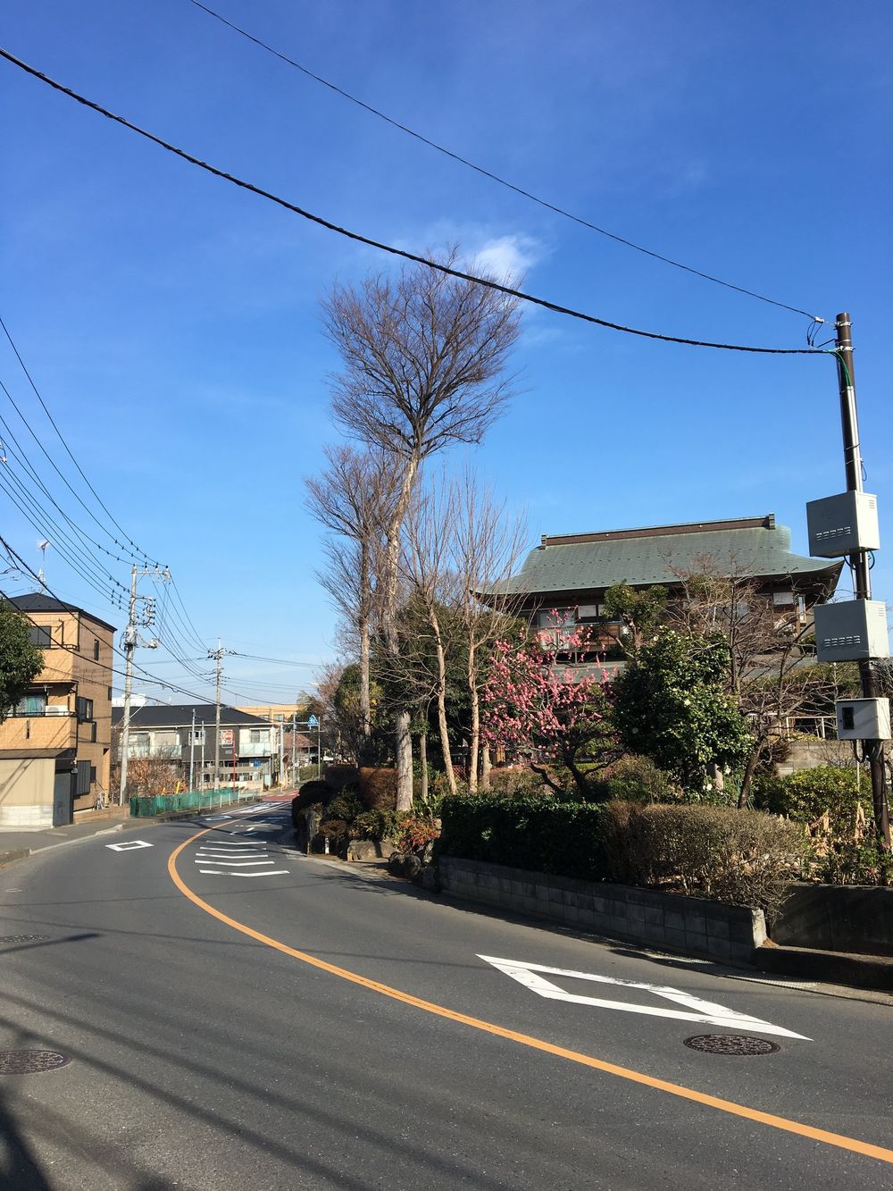 俺の獣王杯 西武球場ハーフマラソンの写真5