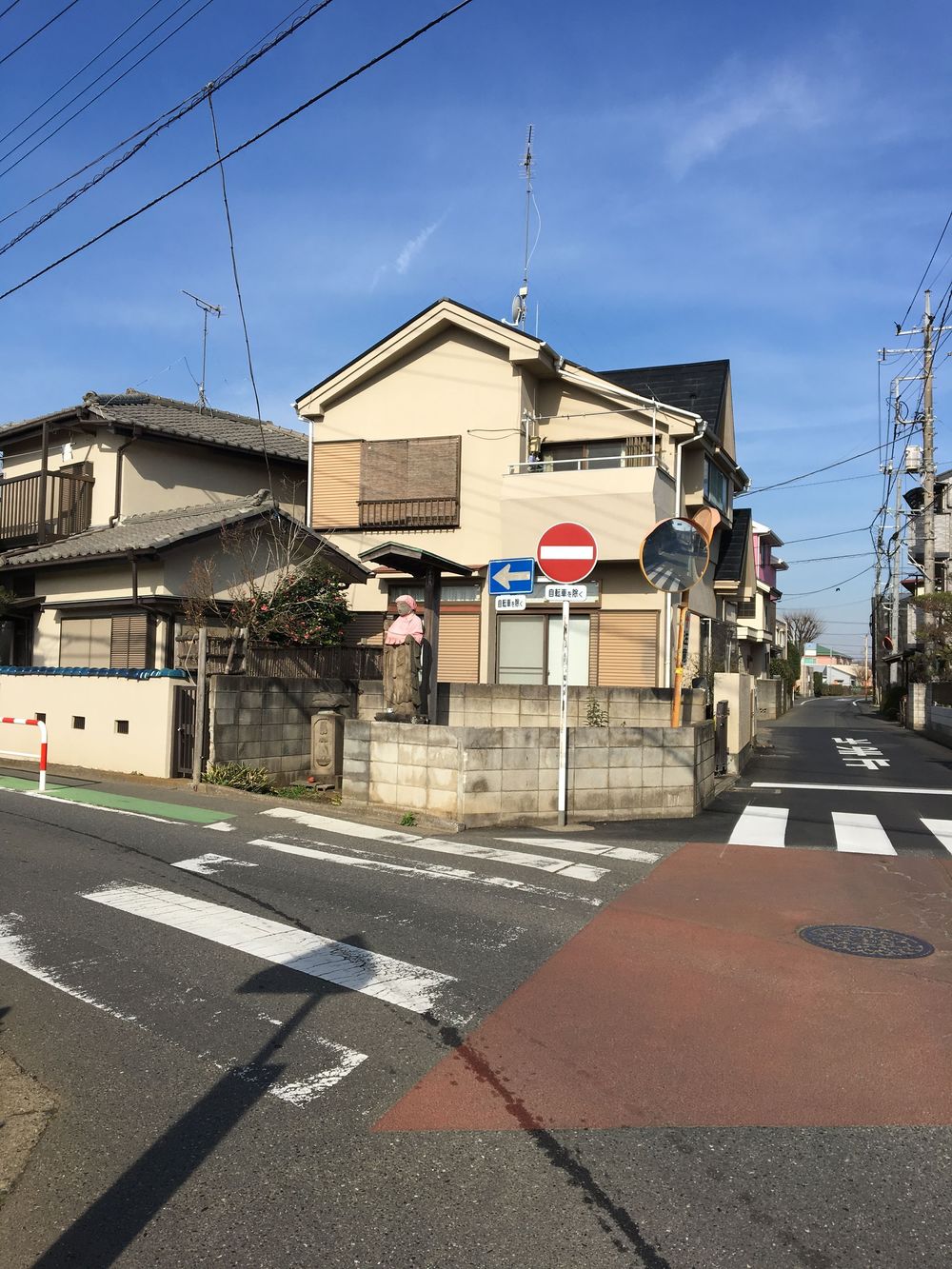 俺の獣王杯 西武球場ハーフマラソンの写真6