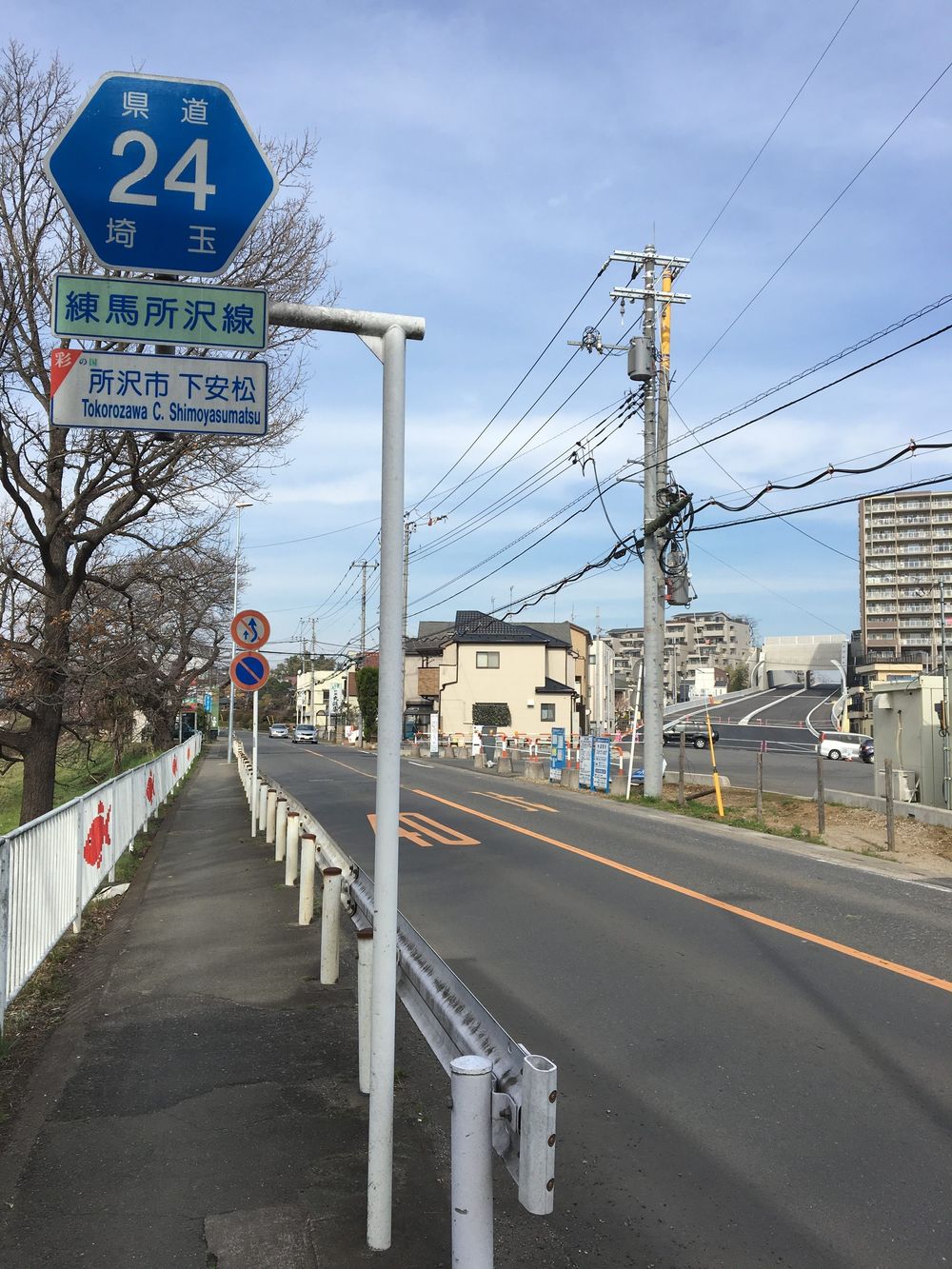 俺の獣王杯 西武球場ハーフマラソンの写真8