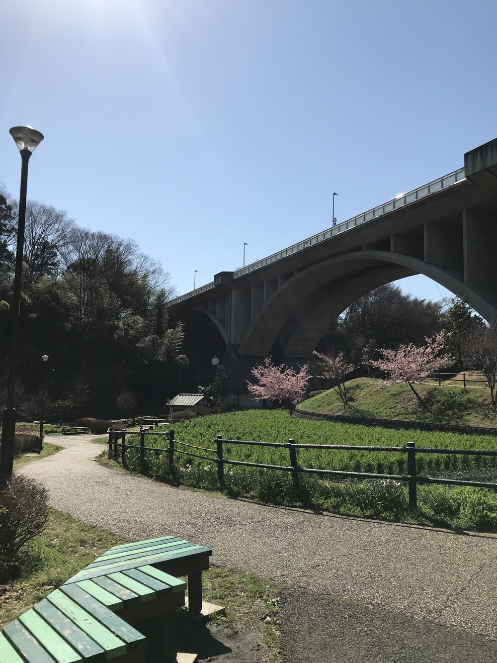 よこやまの道から南大沢 多摩丘陵17kの写真3