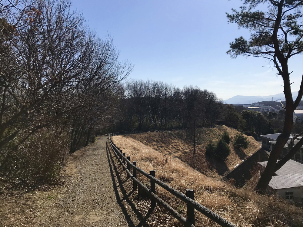よこやまの道から南大沢 多摩丘陵17kの写真5