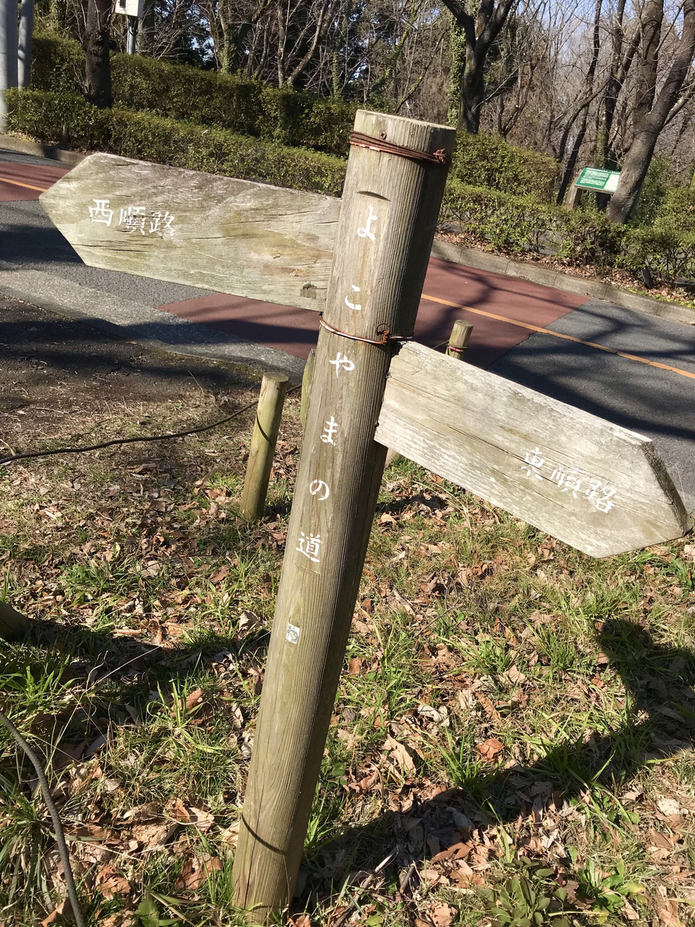 よこやまの道から南大沢 多摩丘陵17kの写真7