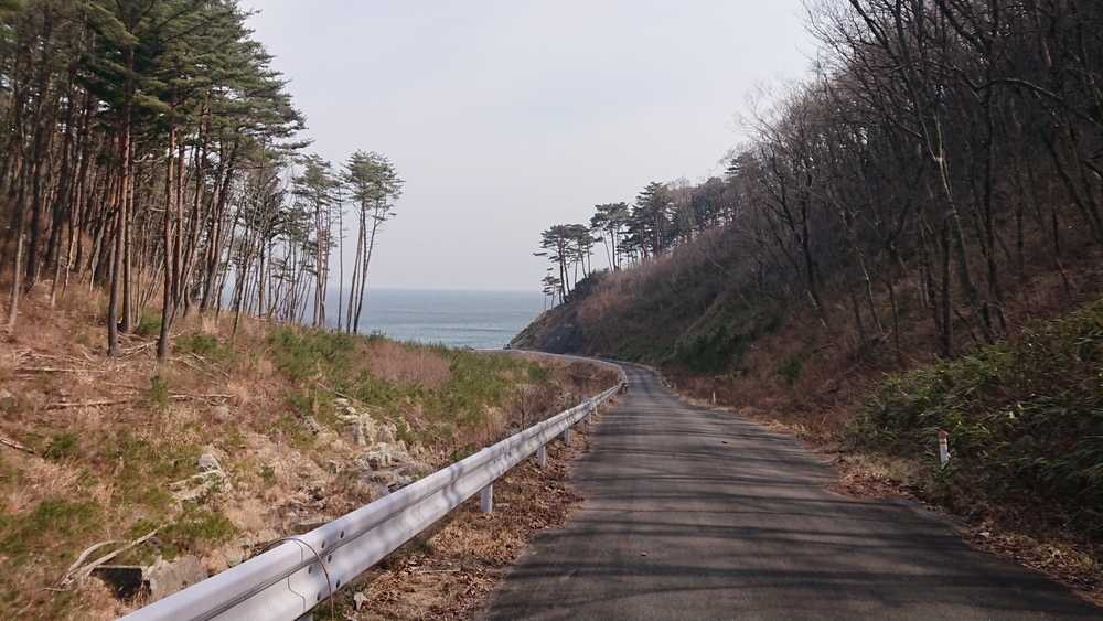 【山田町】船越半島周遊ラン〜漉磯海岸編の写真3