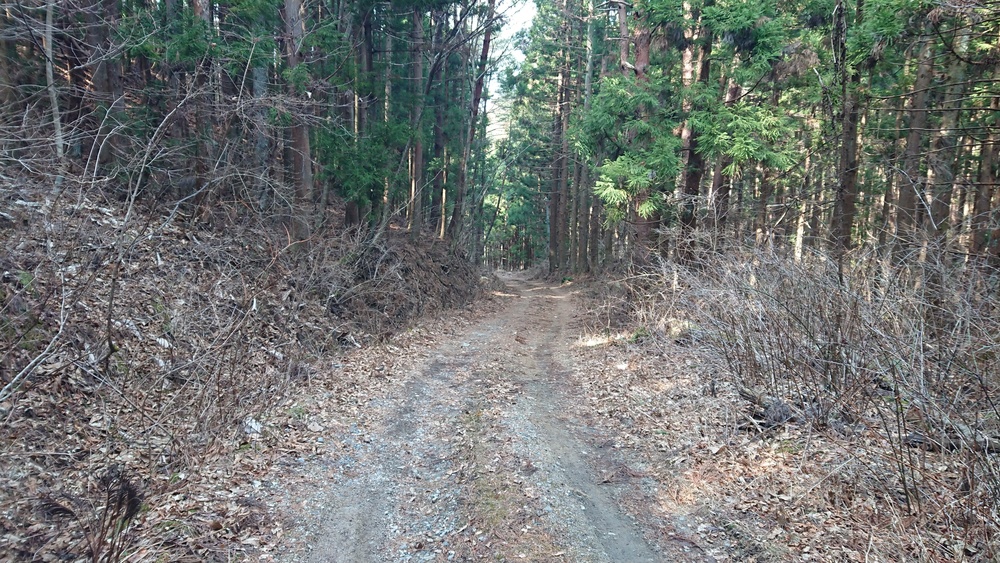 【山田町】船越半島周遊ラン〜漉磯海岸編の写真4