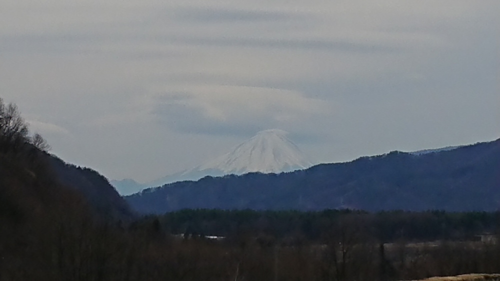 上りはほとんど無し！造り酒屋を目指す絶景ラン♪の写真3