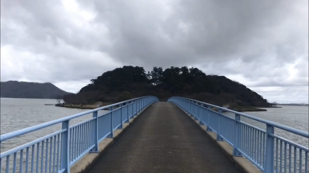 トラックあり、ロードあり、坂あり、トレイルありの写真5