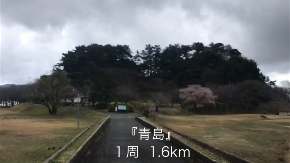 トラックあり、ロードあり、坂あり、トレイルありの写真6