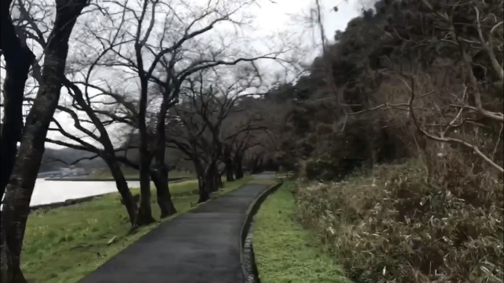 トラックあり、ロードあり、坂あり、トレイルありの写真8