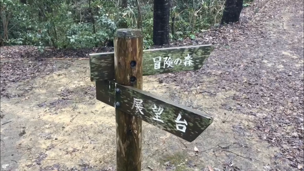 トラックあり、ロードあり、坂あり、トレイルありの写真9