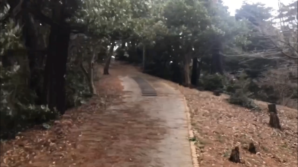 トラックあり、ロードあり、坂あり、トレイルありの写真10