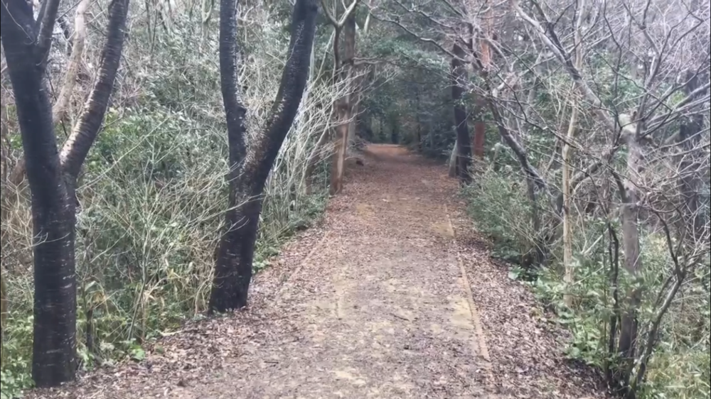 トラックあり、ロードあり、坂あり、トレイルありの写真11