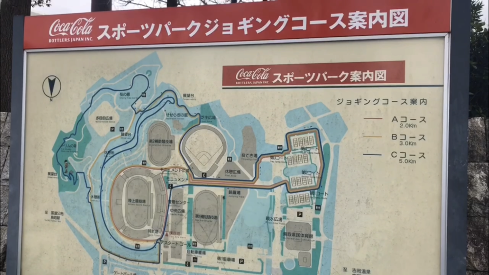 トラックあり、ロードあり、坂あり、トレイルありの写真13