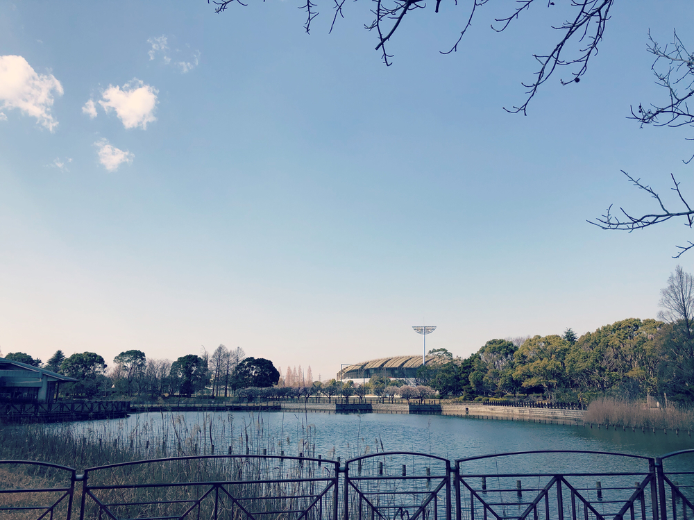 柏の葉T-SITEからのスムージーランの写真3