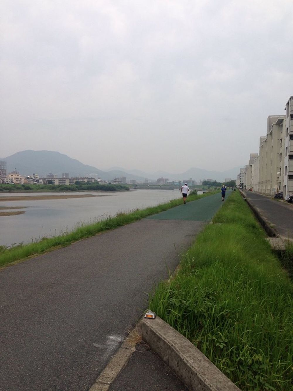 広島大芝水門3.1kmコース。の写真4