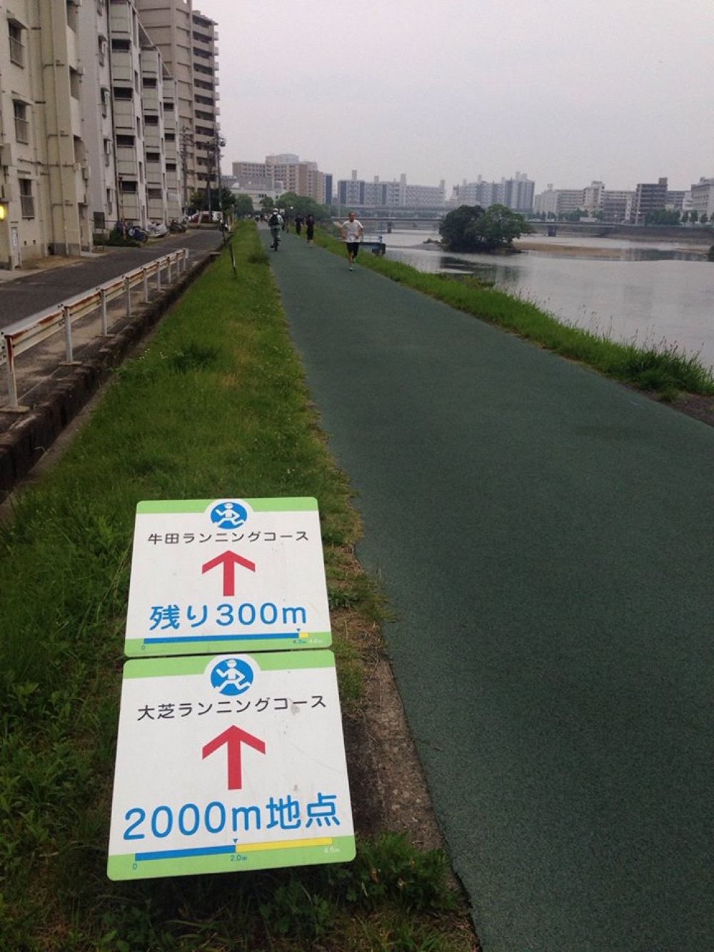 広島大芝水門3.1kmコース。の写真5