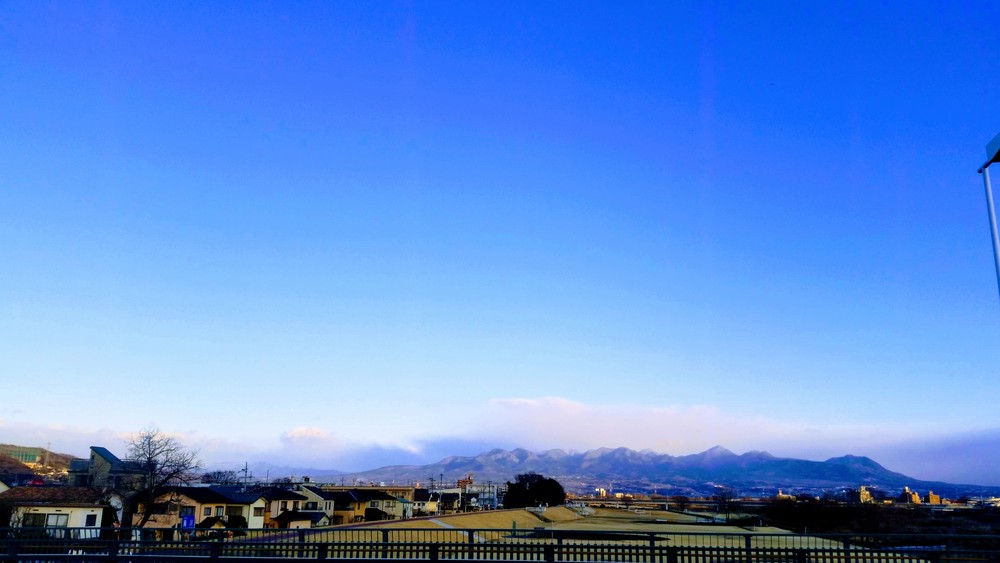 【出張朝ラン】高崎 石原緑地芝生ランの写真4