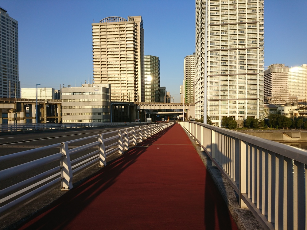 レインボーブリッジ残念ランの写真5