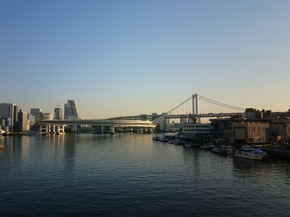 レインボーブリッジ残念ランの写真6