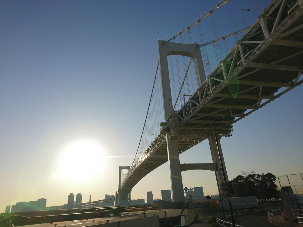 レインボーブリッジ残念ランの写真8